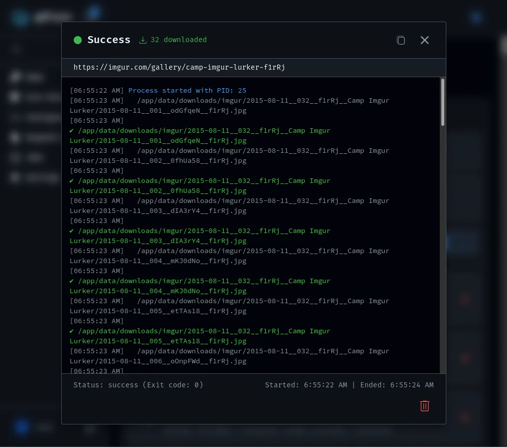 Real gdluxx GUI job output screen showing a completed gallery-dl process